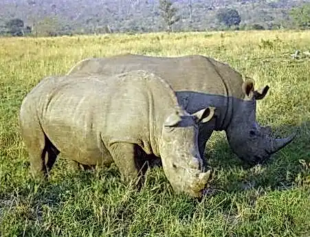 MEGAPARI казино 2a02b2